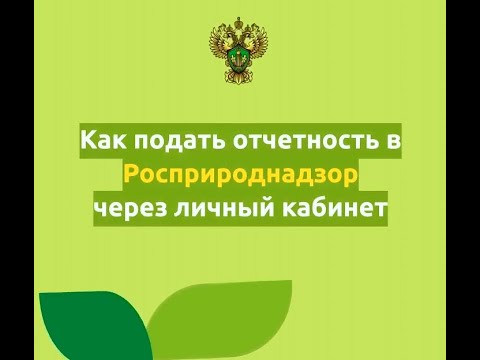 Расприроднадзор - видеоинструкция для работы в личном кабинете природопользователя.