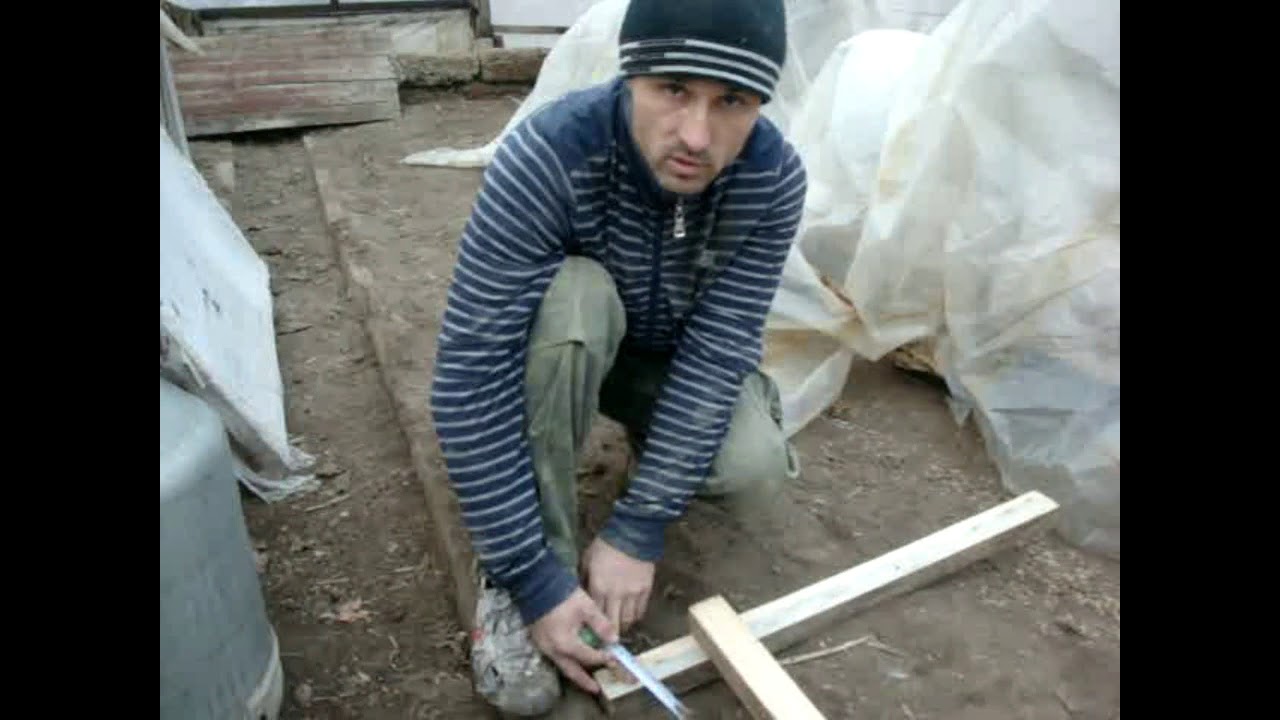 Индивидуальные клетки индюкам