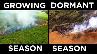 Growing Season VS Dormant Season Prescribed Fire | Analyzing Results