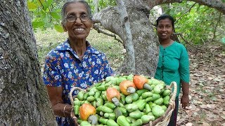 Cashew Nut Curry ❤ Healthy Village Food by Grandma and Daughter | Village Life