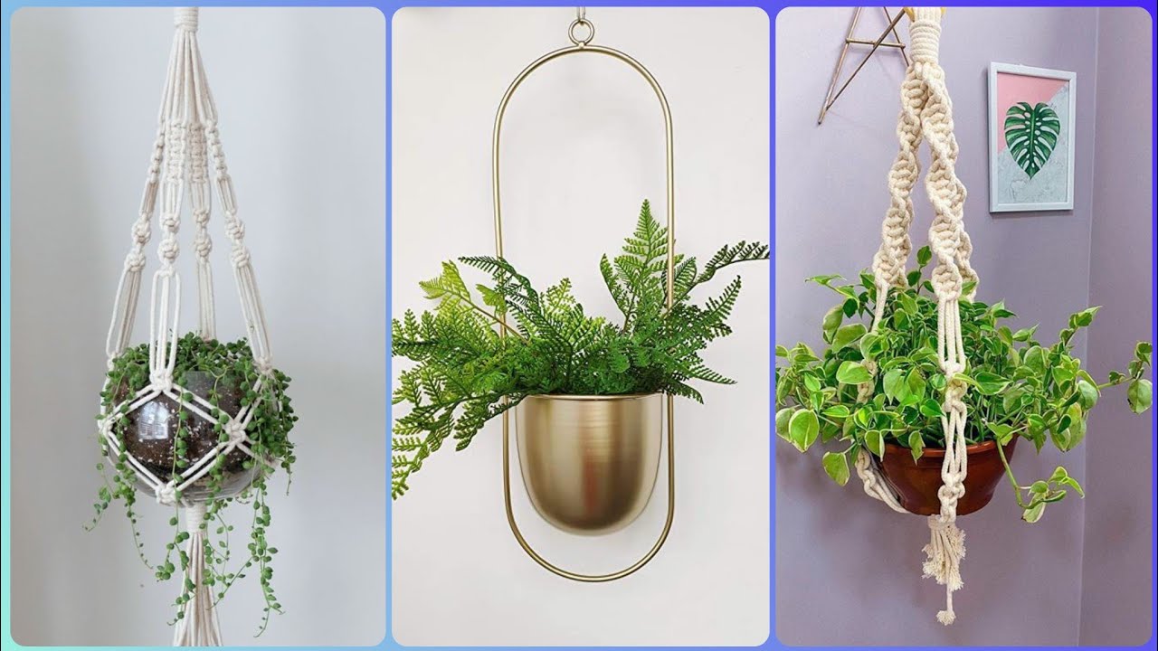 Best Glamorous Wall Hanging Plants Design Home Decor Wall