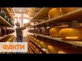 Голландский сыр украинского производства: как изготавливают и цена