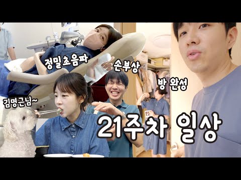 (+ 21주차 <strong>정밀초음파</strong>)