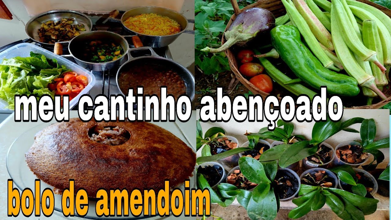 DEIXAI A CIDADE PARA VIVER ESSA VIDA AQUI NA ROÇA FIZ REPLANTES E BOLO DE AMENDOIM