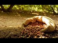 Vendesi appartamento completamente e finemente ristrutturato - Cortemilia - Alta Langa - Piemonte