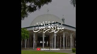 Surah Quraysh - Muhammad Ayyub (Audio)