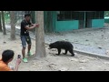 Tao et son ours 4