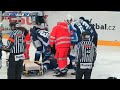 Czech Extraliga: Dangerous/Questionable Hits