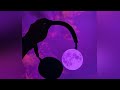Johnny Utah Honeypie Slowed Johnny Utah Honeypie Slowed