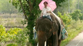 昔飼ってたゾウと中年男、タイ縦断500キロの旅！映画『ポップ・アイ』予告編