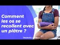 Comment les os se recollent avec un pltre   explique moi docteur