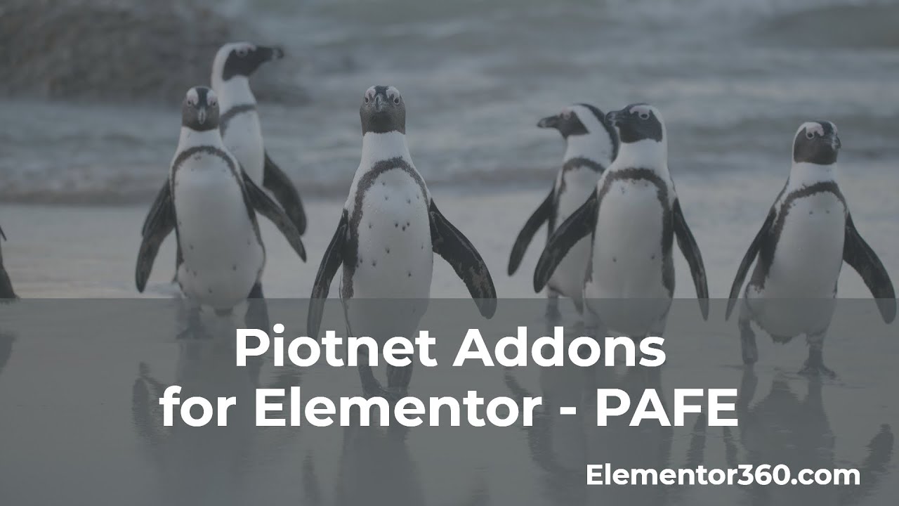 Piotnet Addons for Elementor - Overview and Front-end Form for Custom ...