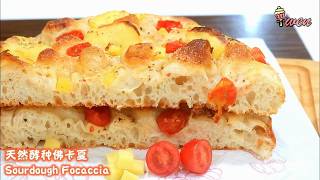No Knead Sourdough Focaccia Bread Recipe免揉天然酵种佛卡夏食谱|香脆嚼劲大气孔Crunchy Chewy Bubbly Crumbs