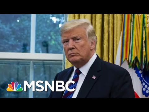 Former Top DHS Official Says Trump Is Dangerous For America | Deadline | MSNBC