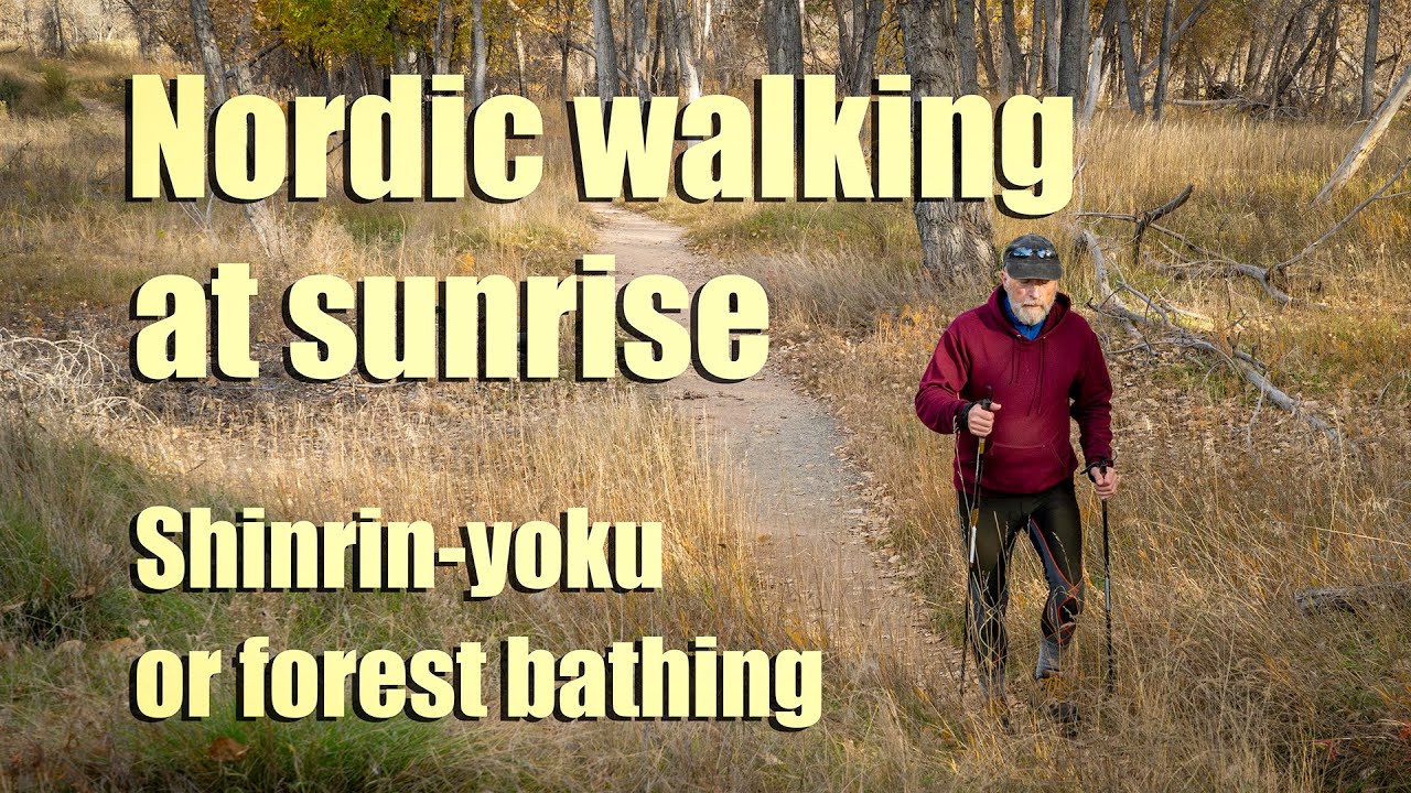Shinrin-yoku or forest bathing by Nordic walking at sunrise - YouTube