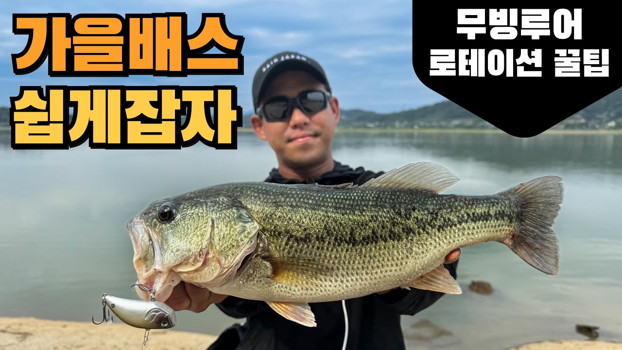 가을배스 시즌 시작! 무빙루어로 배스 쉽게 잡는방법 공개