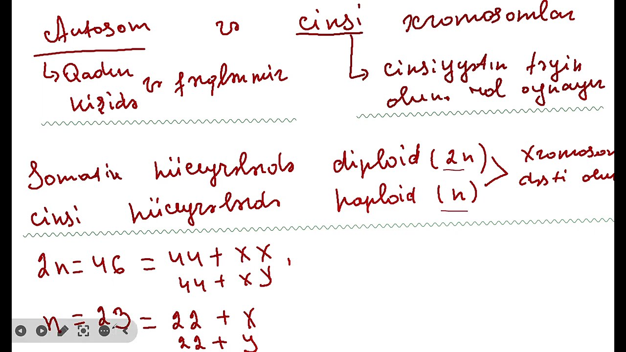 Çoxalma ontogenez.Xromosomlar.Homoloji xromosomlar.Xromosom müxtəlifliyi