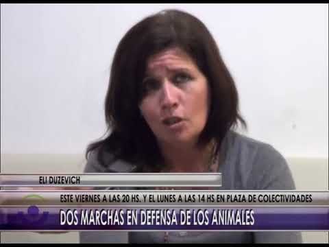 A967 NOTA ORGANIZAN DOS MARCHAS EN DEFENSA DE ANIMALES