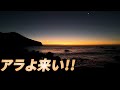 クエ【アラ】 宮崎県 幸島 緑川さんとゴットリに+リベンジ！