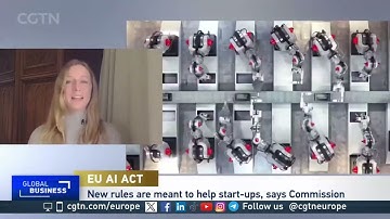 Is the EU Code of Practice Right for AI Regulation?
