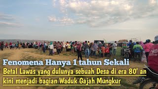 ( Cinematic ) Betal Lawas Selalu jadi kenangan manis kota Wonogiri