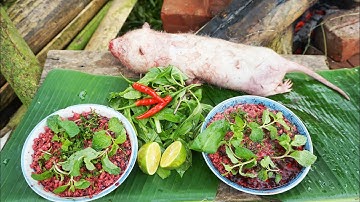 TIẾT CANH DÚI NGON NHẤT VỊNH BẮC BỘ | SĂN ĐƯỢC ĐẶC SẢN NÚI RỪNG THIẾT KẾ NGAY MÓN ĐẶC BIỆT