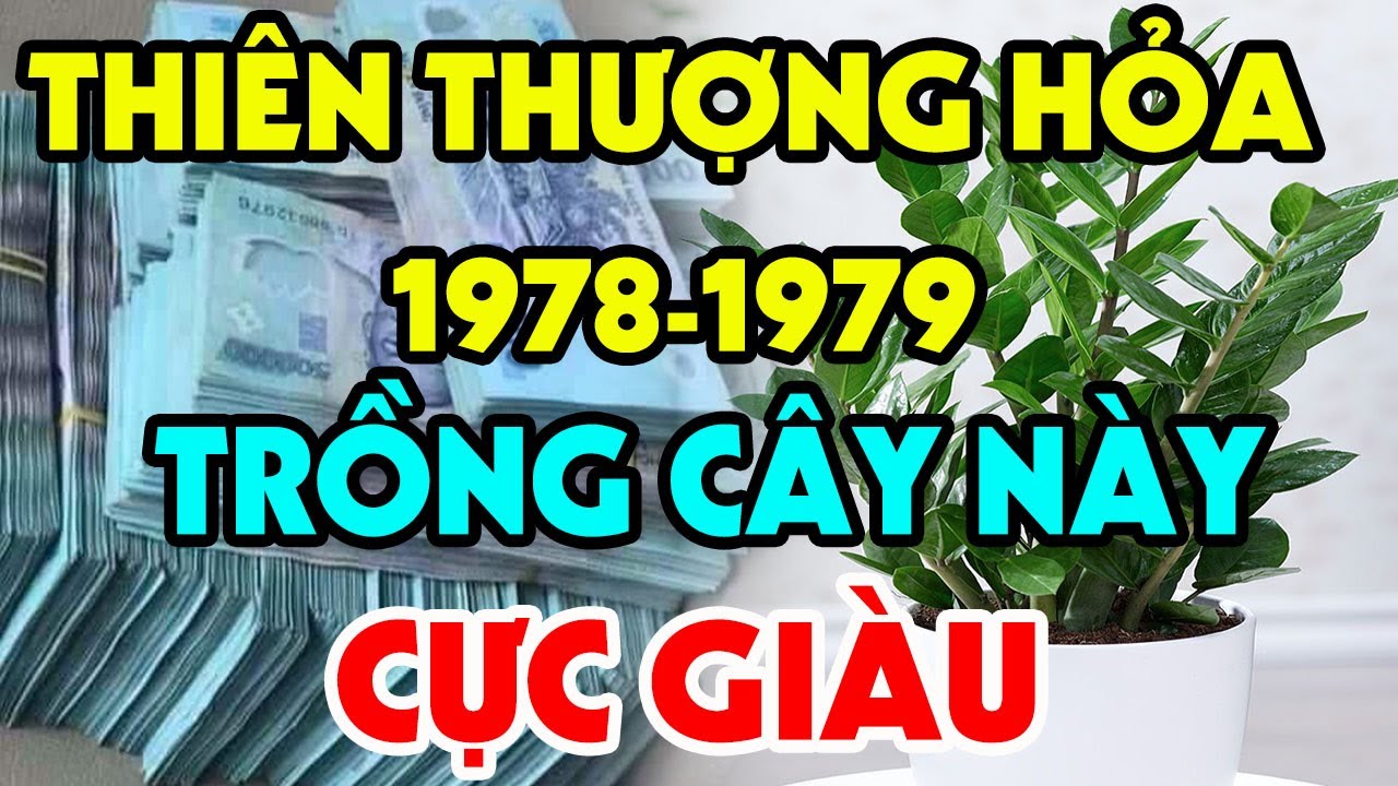 Cây Hợp Mệnh Hỏa 1978: Lựa Chọn Hoàn Hảo Mang Lại Tài Lộc