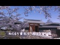 「めおと桜」カラオケ・オリジナル歌手・川中美幸