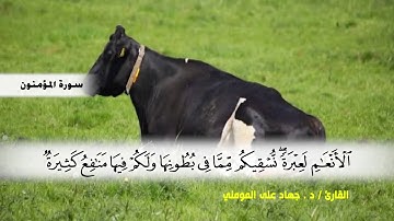 سورة المؤمنون من ( ايه 1 ) الى ( ايه 35 ) بصوت القارئ د.جهاد المومني