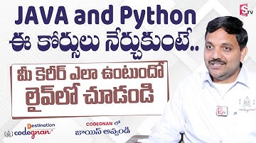 Why Most Of The Techie