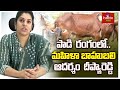 పాడి  రంగంలో .. మహిళా బాహుబలి | Successful Dairy Farming by Deepya Reddy | hmtv Agri