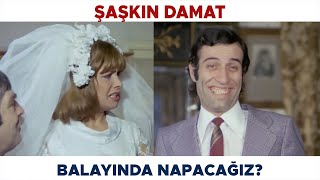 Şaşkın Damat Türk Filmi Apti Serpil Ile Evleniyor Kemal Sunal Filmleri