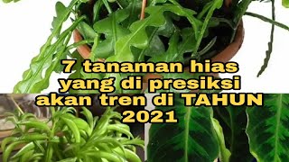 wajib punya! 7 tanaman hias ini di prediksi akan tren di tahun 2021