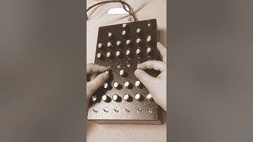 Skychord Electronics ZODIAC drone synth 試奏 by Retada BPNYC/Tokio NY