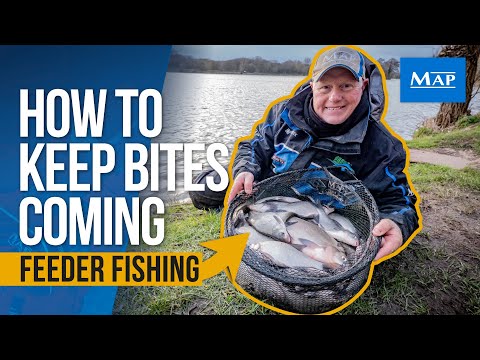 Canal Bream Pole Fishing Tactics 