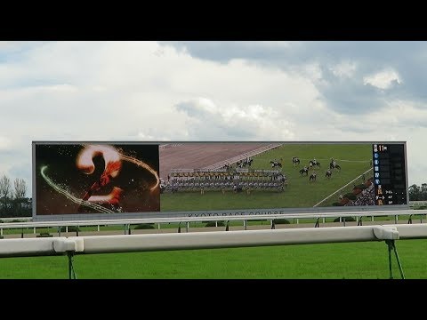 H30.10.14　秋華賞のファンファーレ　カウントダウン　京都競馬賞