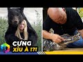 Những Thú Cưng Bá Đạo Và Nguy Hiểm Khiến Trộm Cũng Phải Tè Ra Quần - Top 1 Khám Phá