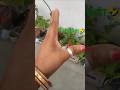 Funny #viral #foryou#short#trending