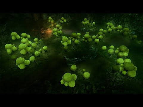 Как пройти мимо грибов в квесте Найти Грибника - Baldur's Gate 3
