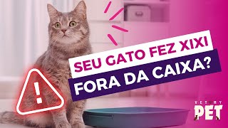 Porque o Gato Não Usa a Caixa de Areia? A VET Conta: Razões e Soluções! Gato Xixi Lugar Certo Errado