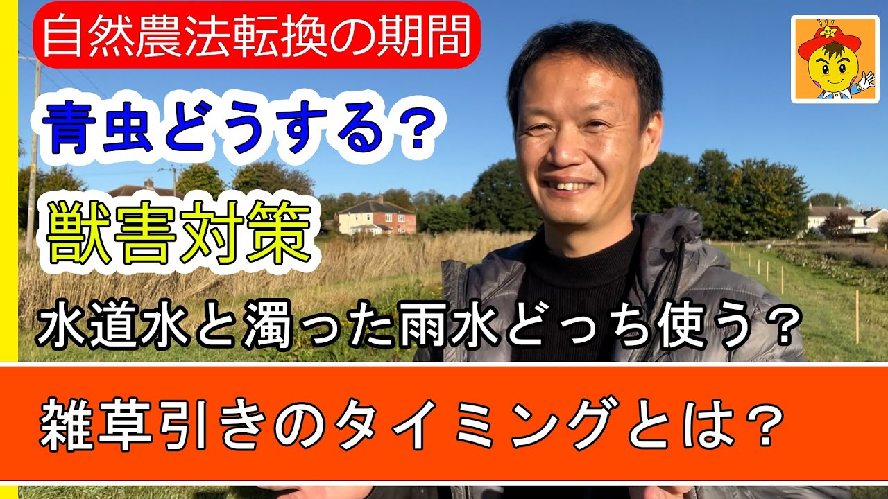 希少！】農業の常識は、自然界の非常識 雑草で畑を生命育む森にする