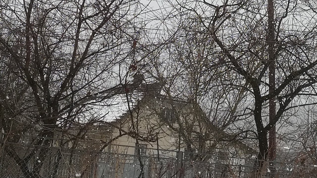 Дістала ця зима вже