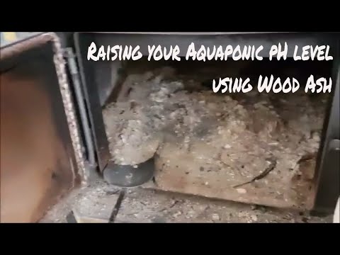 How to raise pH in Aquaponic Systems using Wood Ash