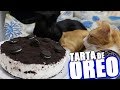 HAGO UNA TARTA DE OREO INVERTIDA