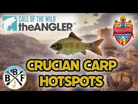 Hotspot Guide: Crucian Carp - Plus Hook Size, Bait and Lure!! | Call of the Wild: theAngler