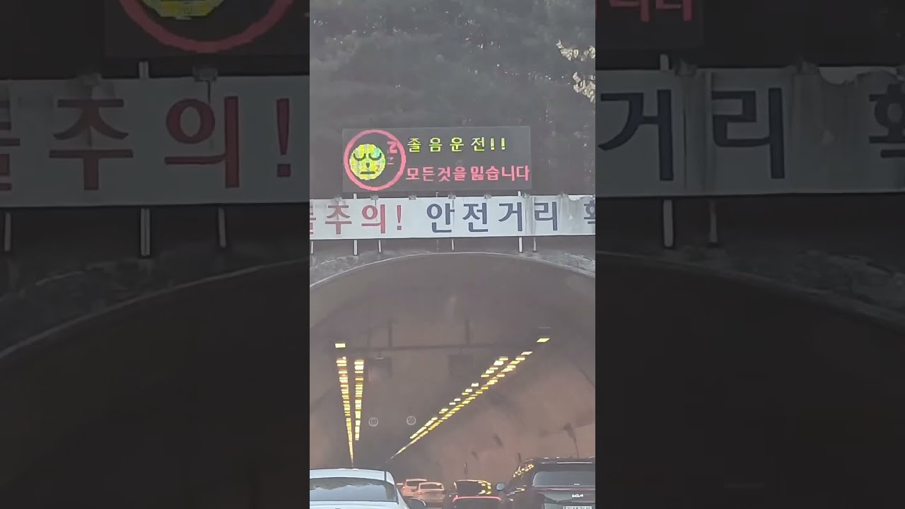 When will we get home? I want to cry is so many tunnels. 아웃토반이 그립다.