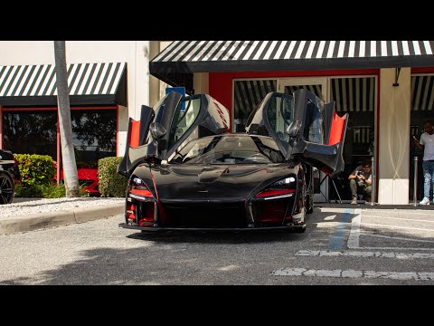 Excell Auto Group Pagani