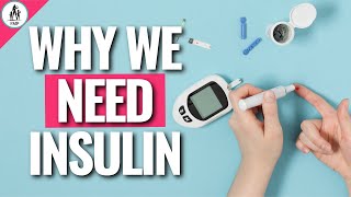 Why Insulin is So Important (Hormone Series Part 2 of 3)