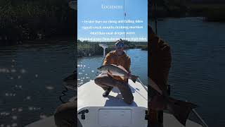 Insider Tactics for Redfish