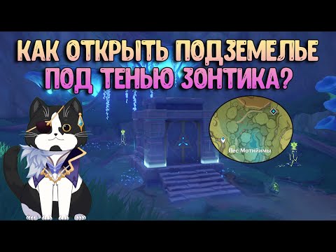 Подземелье Под Тенью Зонтика | Как Открыть? | Геншин Импакт Сумеру Гайд